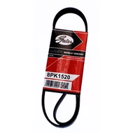 Hosszbordás szíj Gates 8pk1520, 7421190803, 7420543481, 1388161, 1702605, 1800535, 1530989,1389036